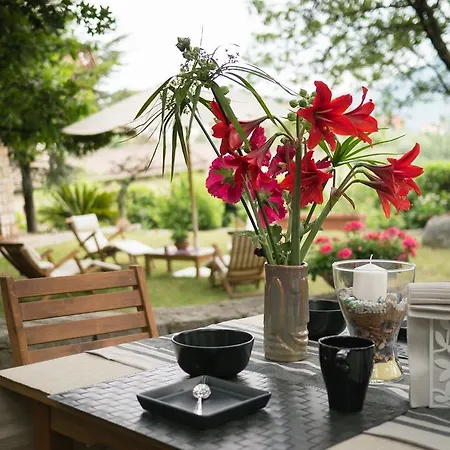 Cuore Tondo Bed & Breakfast