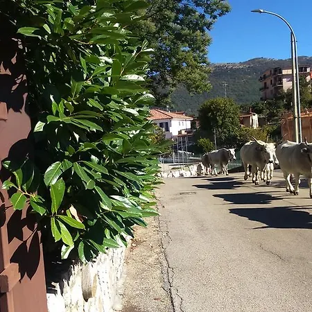 Bed & Breakfast Cuore Tondo Lenola