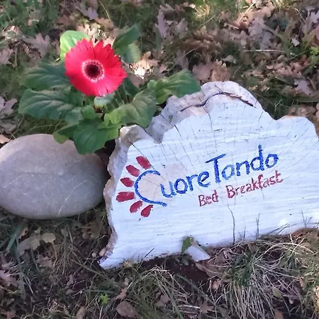 Cuore Tondo Lenola